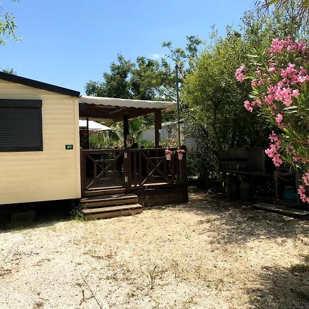Comping Le Clos Du Thym Hotell Argelès-sur-Mer Exteriör bild
